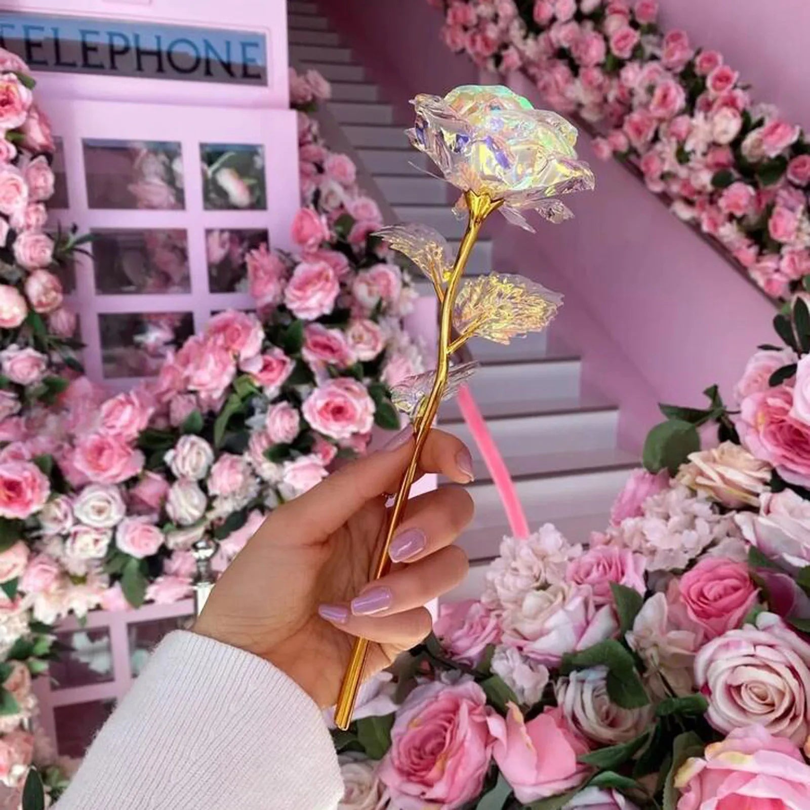 Galaxy Rose Infinity Bloom